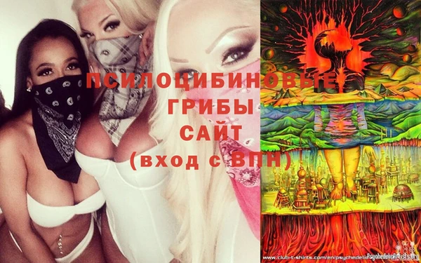 гашиш Богданович