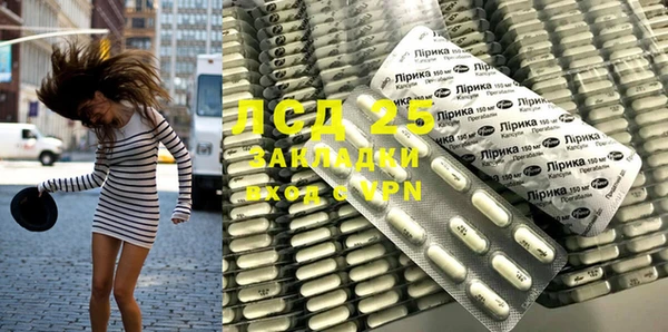 гашиш Богданович