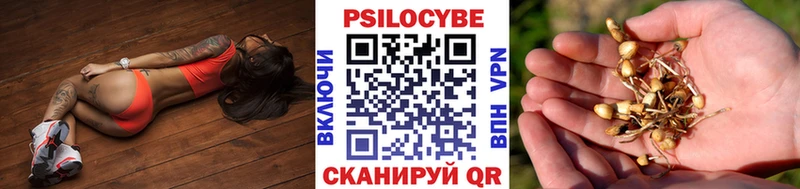 купить наркоту  Белебей  mega ONION  Галлюциногенные грибы Psilocybe 